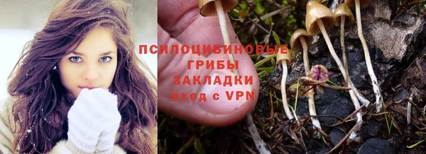 мдма Горняк