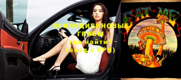 герыч Горнозаводск