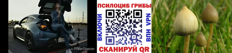 Псилоцибиновые грибы прущие грибы  MEGA зеркало  Меленки 